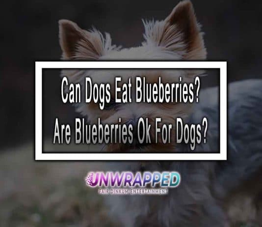 Can Dogs Eat Blueberries? Are Blueberries Ok For Dogs? Can Dogs Eat Blueberries? Are Blueberries Ok For Dogs?