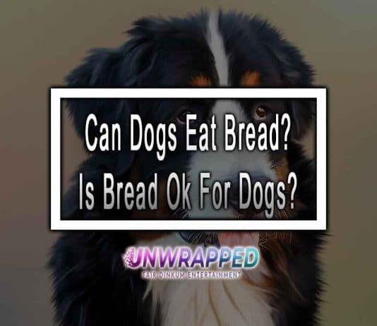 Can Dogs Eat Bread? Is Bread Ok For Dogs? Can Dogs Eat Bread? Is Bread Ok For Dogs?