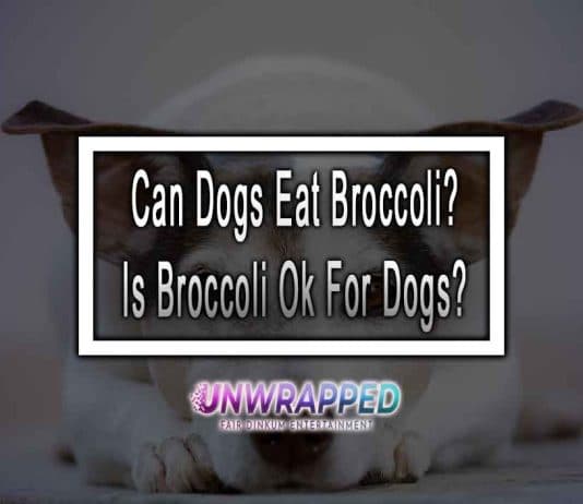 Can Dogs Eat Broccoli? Is Broccoli Ok For Dogs? Can Dogs Eat Broccoli? Is Broccoli Ok For Dogs?