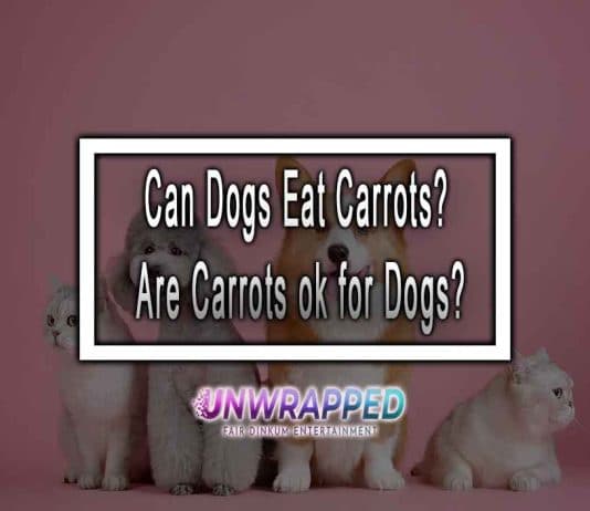 Can Dogs Eat Carrots? Are Carrots ok for Dogs?
