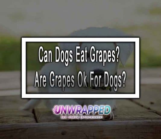 Can Dogs Eat Grapes? Are Grapes Ok For Dogs?