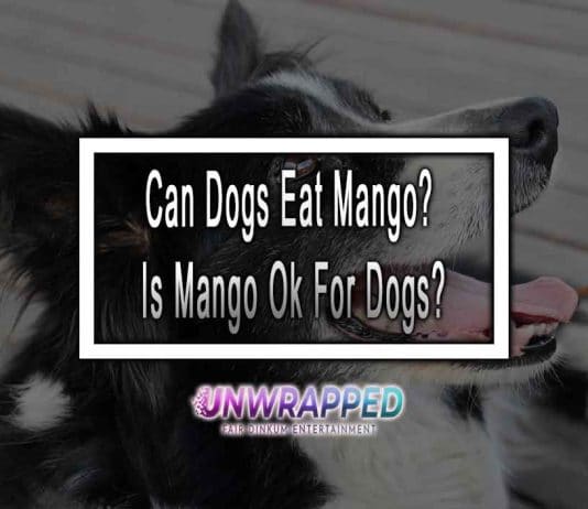 Can Dogs Eat Mango? Is Mango Ok For Dogs?
