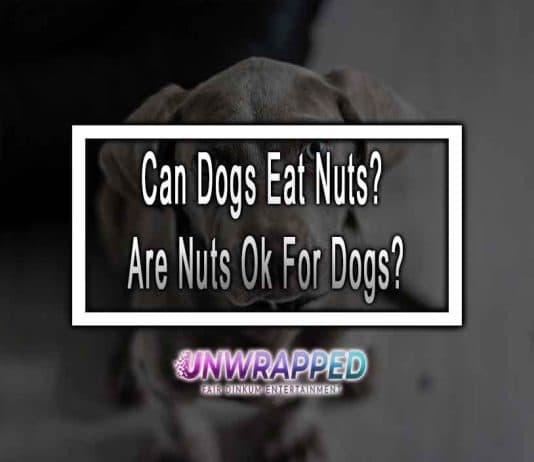 Can Dogs Eat Nuts? Are Nuts Ok For Dogs?