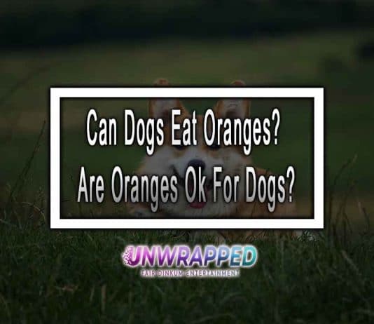 Can Dogs Eat Oranges? Are Oranges Ok For Dogs?