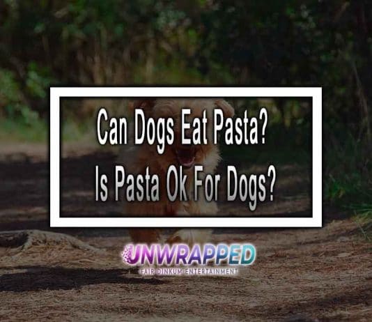 Can Dogs Eat Pasta? Is Pasta Ok For Dogs?