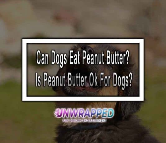 Can Dogs Eat Peanut Butter? Is Peanut Butter Ok For Dogs?