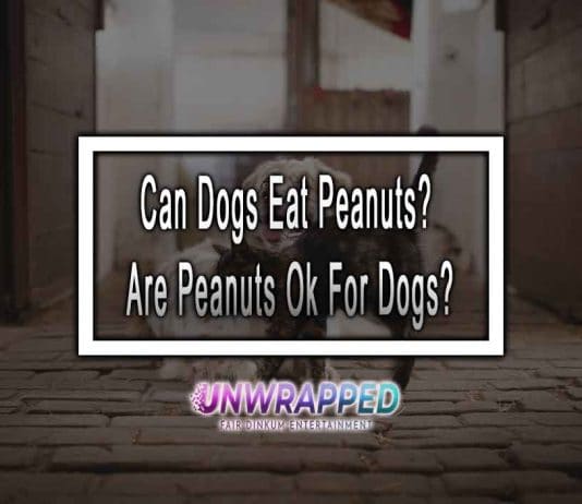 Can Dogs Eat Peanuts? Are Peanuts Ok For Dogs?