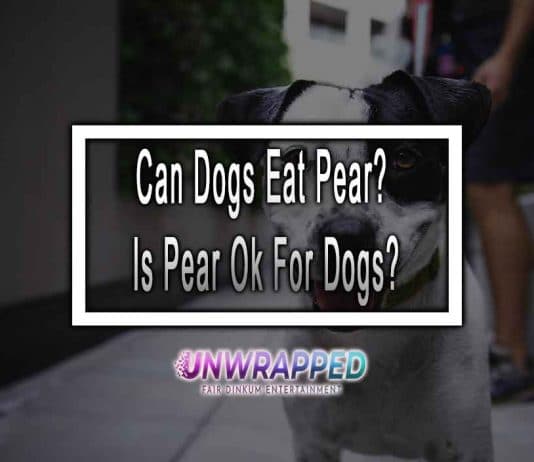 Can Dogs Eat Pear? Is Pear Ok For Dogs?