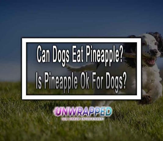 Can Dogs Eat Pineapple? Is Pineapple Ok For Dogs?
