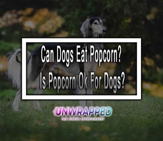 Can Dogs Eat Popcorn? Is Popcorn Ok For Dogs?