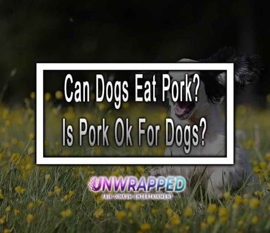 Can Dogs Eat Pork? Is Pork Ok For Dogs?