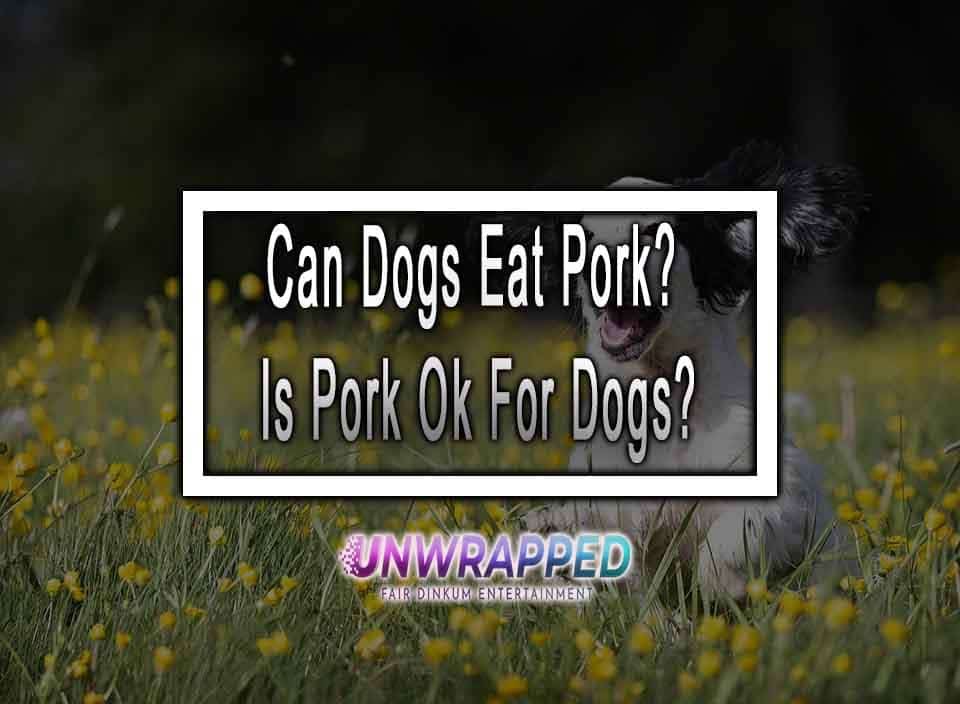 can-dogs-eat-pork-is-pork-ok-for-dogs