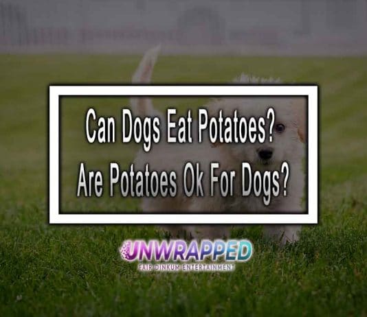 Can Dogs Eat Potatoes? Are Potatoes Ok For Dogs?