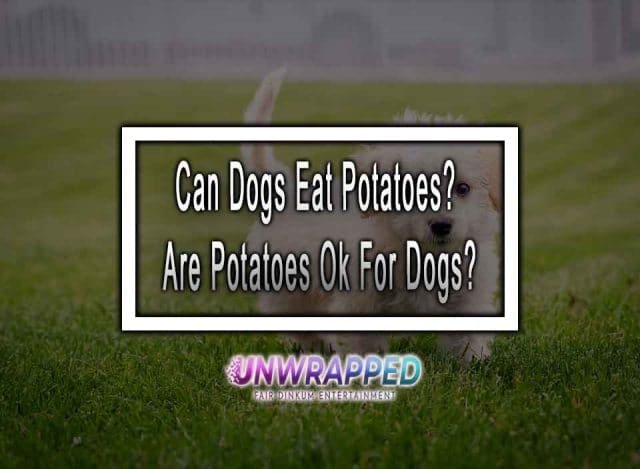 can-dogs-eat-potatoes-are-potatoes-ok-for-dogs