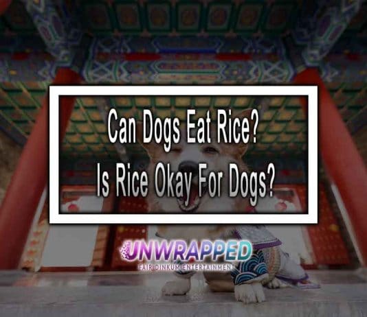 Can Dogs Eat Rice? Is Rice Okay For Dogs?