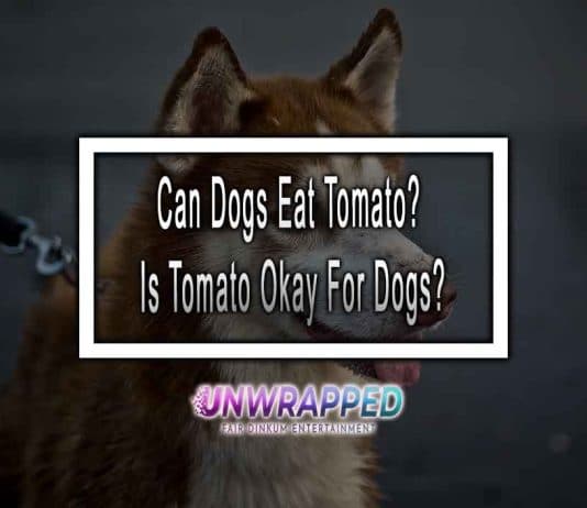 Can Dogs Eat Tomato? Is Tomato Okay For Dogs?