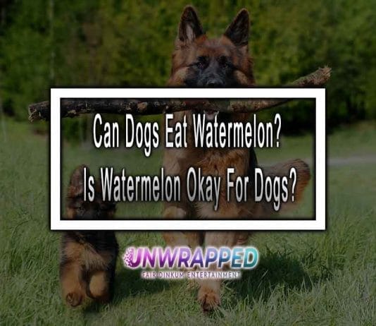 Can Dogs Eat Watermelon? Is Watermelon Okay For Dogs?