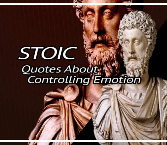 Best Quotes About Controlling Emotion