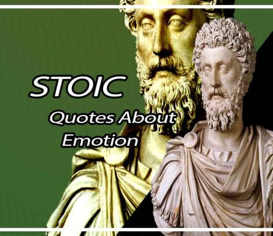 Meaningful Stoic Quotes About Emotion That Will Change Your Life Meaningful Stoic Quotes About Emotion That Will Change Your Life