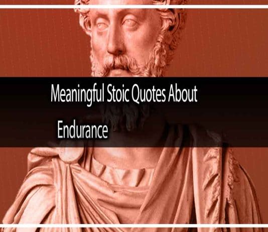 Meaningful Stoic Quotes About Endurance That Will Change Your Life  