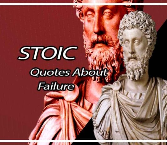 Meaningful Stoic Quotes About Failure That Will Change Your Life  