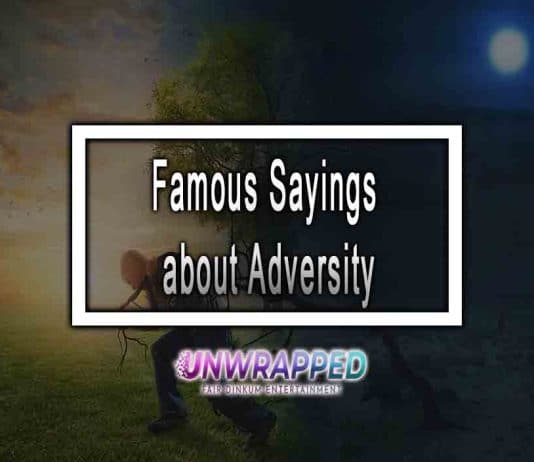 Famous Sayings about Adversity