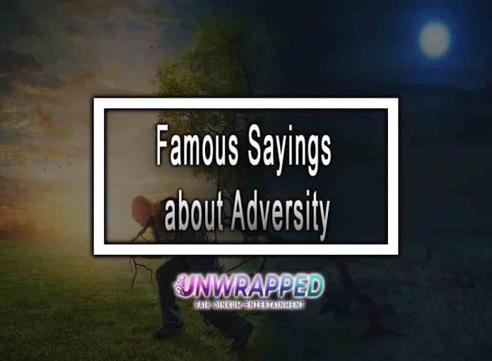 Famous Sayings about Adversity