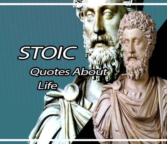 Best Stoic Quotes On Life