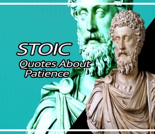 Best Stoic Quotes On Patience