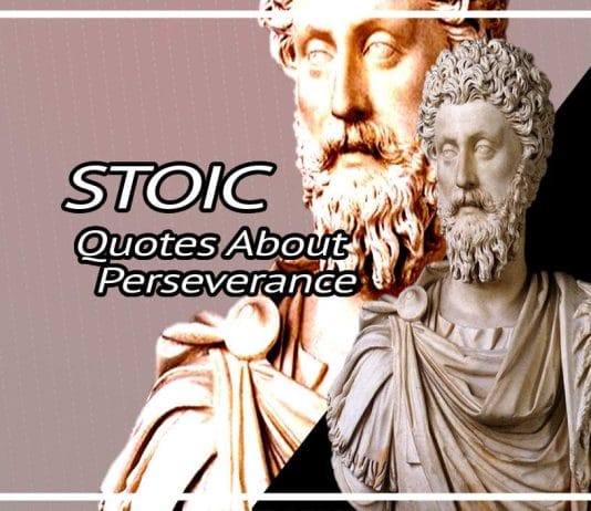 Best Stoic Quotes On Perseverance