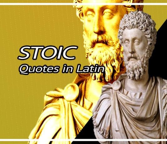 Best Stoicism Quotes In Latin