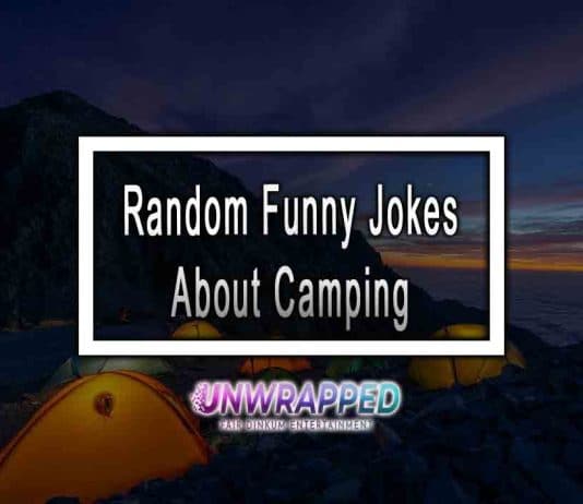Random Funny Jokes About Camping