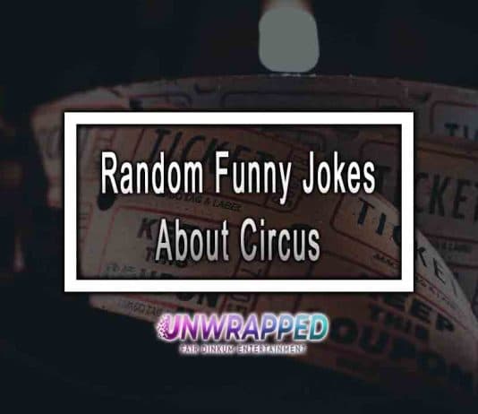 Random Funny Jokes About Circus
