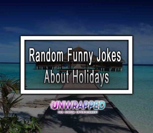 Random Funny Jokes About Holidays