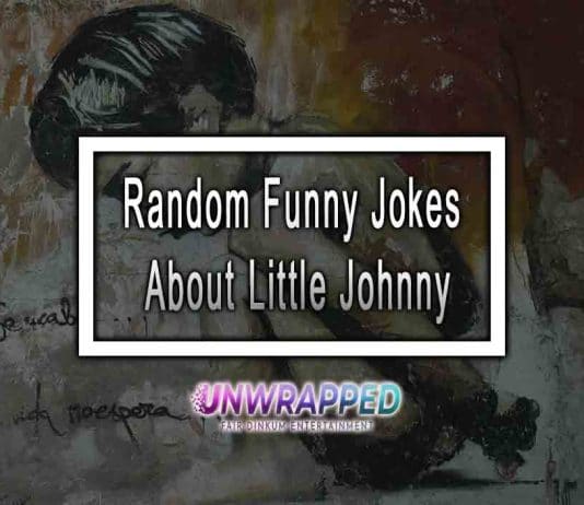 Random Funny Jokes About Little Johnny
