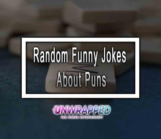 Random Funny Jokes About Puns