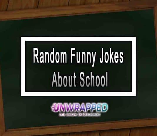 Random Funny Jokes About School