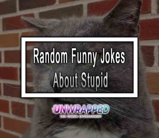 Random Funny Jokes About Stupid