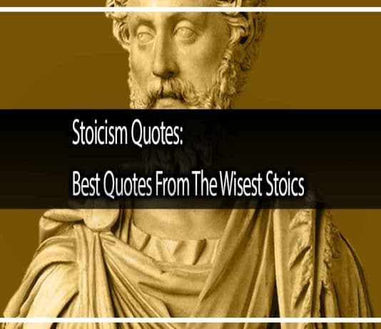 Stoicism Quotes: 500 of the Best Quotes From The Wisest Stoics Stoicism Quotes: Best Quotes From The Wisest Stoics