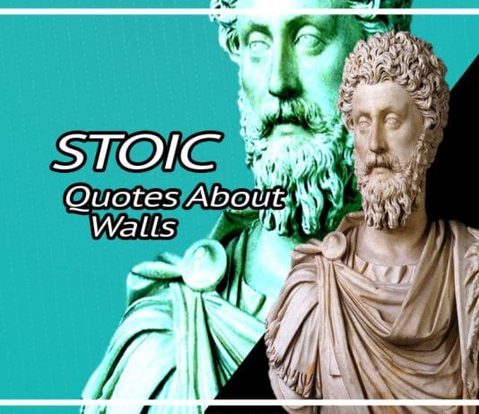 Best Stoicism Quotes About Walls