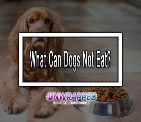 What Can Dogs Not Eat?