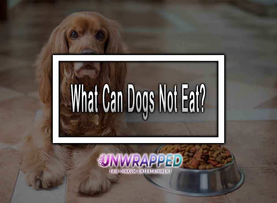 What Can Dogs Not Eat?