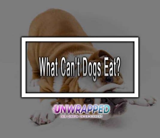 What Can't Dogs Eat?