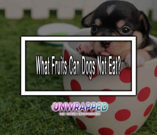 What Fruits Can Dogs Not Eat?