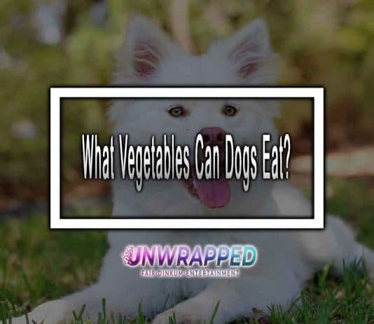 What Vegetables Can Dogs Eat?