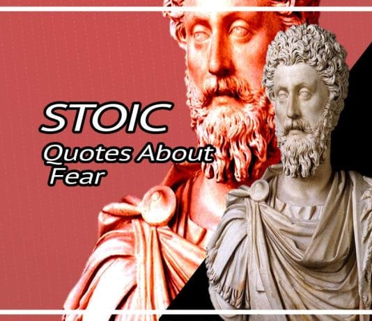 Best Quotes About Fear