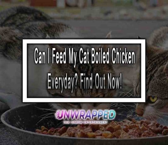 Can I Feed My Cat Boiled Chicken Everyday
