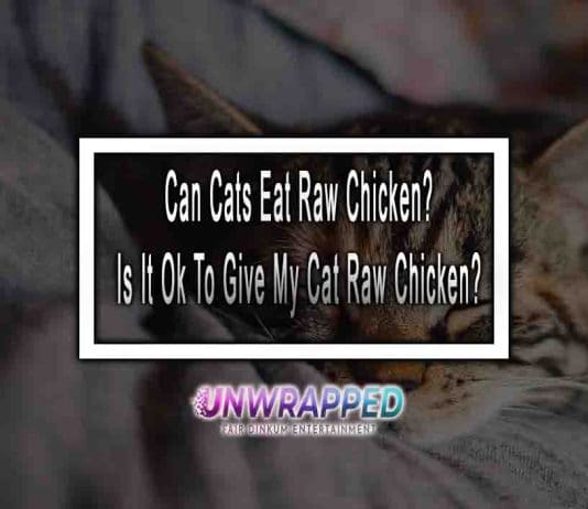 Can Cats Eat Raw Chicken? Is It Ok To Give My Cat Raw Chicken?