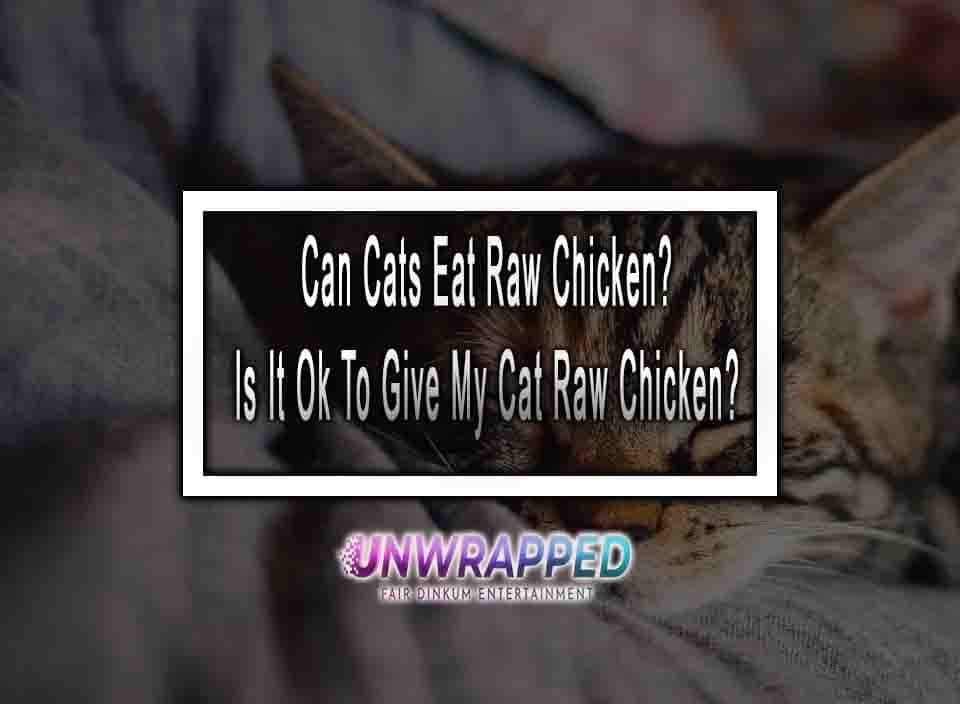 can-cats-eat-raw-chicken-is-it-ok-to-give-my-cat-raw-chicken