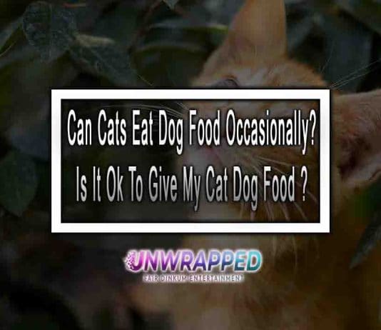 Can Cats Eat Dog Food Occasionally? Is It Ok To Give My Cat Dog Food From Time To Time?